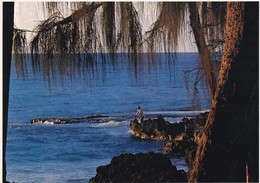 Postcard Ironwood Trees Frame A Fisherman At Dusk On The Northshore Of Oahu Hawaii [ John Wagner Impact ] My Ref B22226 - Oahu