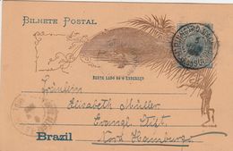 Brésil Entier Postal Illustré Pour L'Allemagne 1909 - Entiers Postaux