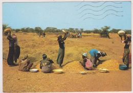 AFRIQUE,SENEGAL,METIER,FEMME AU TRAVAIL - Sénégal