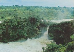 Uganda - Cascate Murchison - Uganda