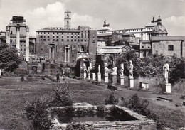 AK Roma - Foro Romano - 1964 (33137) - Parks & Gardens