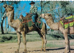 Australia - Camels In The Centre Unused - Zonder Classificatie
