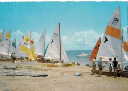 Australia - Catamarans, Darwin Sailing Club, NT Unused - Darwin