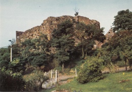 Dalhem - Ruines Du Château-Fort - Dalhem