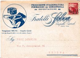 E36 - Cartolina Postale Pubblicitaria - Del 24 Dicembre 1946  Da Gropello Cairoli A  Modena Con Lire 3 Rosso - Altri & Non Classificati