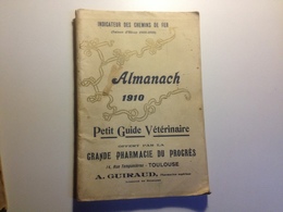 TOULOUSE, Pharmacie Du Progrès,ALMANACH, 1910, Indicateur Des Chemins De Fer, Petit Guide Vétérinaire - Formato Grande : 1901-20