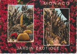 (FLO74) MONACO. JARDIN EXOTIQUE. CACTUS ... UNUSED - Cactus