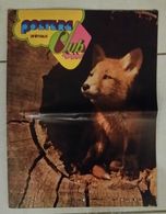 Posters Animaux Club De 1974 - Format : 39x29.5 Cm - Animaux