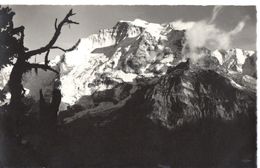 Dorrenhubel Bei Mürren: Jungfrau - Mürren