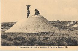 LE GRAU DU ROI Les Marais Salants Transport Du Sel Sur Le Mulon - Le Grau-du-Roi