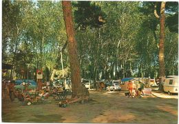 V1759 Marina Di Massa - La Pineta - Il Camping - Auto Cars Voitures / Non Viaggiata - Massa