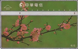 TARJETA TELEFONICA DE TAIWAN, FLORA. Sakura Flowers. 819C. 8053. (009) - Fleurs