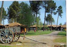 40 SABRES Domaine De Peyricat Village De Vacances, Char Ancien - Sabres