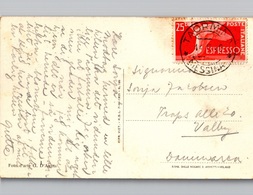 1949 25 Lire ESPRESSO Solo Su Cartolina Andata In Danimarca - Express-post/pneumatisch