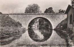 76 - CANY  - Le Pont Du Chemin De Fer Et  La Durdent - Cany Barville