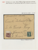 Br/GA Algerien: 1915/1960: Collection Of 56 Covers And Postal Stationery On Sheets, World War II With Rare - Algerije (1962-...)