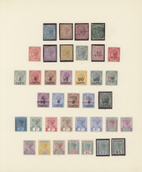*/O Britisch-Honduras: 1872-1925, Collection Mint And Used On 3 Album Leaves Including SG 5, 7, 9, 10, 2 - Honduras Britannico (...-1970)
