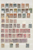 **/*/O/Br Neuseeland: 1864/1990 (ca.), Cold Collection Bearing Three Albums With Stamps (since Classic Issues) - Neufs