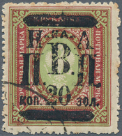 TO Russland - Post Der Bürgerkriegsgebiete: Nikolajewsk / Amur / Priamur: 1921. Overprint Definitive St - Altri & Non Classificati