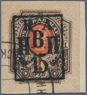 TO Russland - Post Der Bürgerkriegsgebiete: Nikolajewsk / Amur / Priamur: 1921. Overprint Definitive St - Andere & Zonder Classificatie