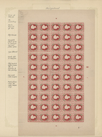 **/*/O/GA Helgoland - Marken Und Briefe: 1875/90, Schöne Und Umfangreiche Spezialsammlung Von Berlin/Hamburg/L - Heligoland