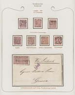 Br/Brfst/O/* Norddeutscher Bund - Marken Und Briefe: 1868/71, Sehr Schöne Beschriftete Ausstellungs-Sammlung In Z - Other & Unclassified