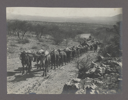 Deutsch-Südwestafrika - Besonderheiten: Deutschsüdwestafrika, Fotoalbum, 44 Fotos/Ansichtskarten  Ei - Sud-Ouest Africain Allemand