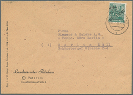 Br Berlin - Vorläufer: 1948, Gehaltvolle Partie Mit 14 Ursprünglich Als Einzellose Vorbereiteten Positi - Lettres & Documents