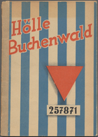 Literatur: Nachkriegsliteratur. 15 Meist Historische Bücher über Den 2. Weltkrieg, Z.B. "German Radi - Altri & Non Classificati