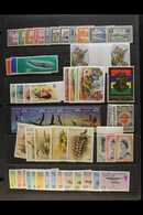 BRITISH COMMONWEALTH QEII NEVER HINGED MINT RANGES 1950's-1990's Interesting Accumulation On Stock Pages & In Packets In - Sonstige & Ohne Zuordnung