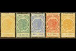 SOUTH AUSTRALIA 1902-11 Queen Victoria "Tall" Types With 1902-04 (thin "POSTAGE") 10d, SG 274, Plus 1904-11 (thick "POST - Autres & Non Classés