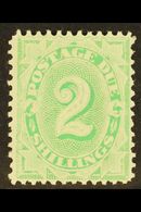 POSTAGE DUE 1902-04 2s Emerald-green Perf 11½,12, SG D20, Very Fine Mint, Fresh. For More Images, Please Visit Http://ww - Andere & Zonder Classificatie