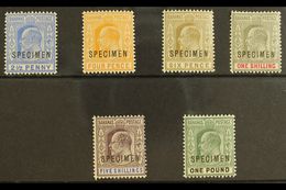 1902 Ed VII Set Complete (less 1d) Overprinted "Specimen", SG 63s/70s, Very Fine And Fresh Mint. (6 Stamps) For More Ima - Andere & Zonder Classificatie