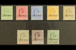 1902-06 Ed VII Set To £1 Plus 1906 ½d Green, Overprinted "Specimen", SG 62s-70s, 71s, Very Fine And Fresh Mint. (8 Stamp - Autres & Non Classés