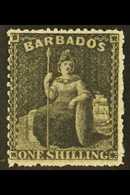 1861-70 1s Back Britannia, SG 35, Superb Never Hinged Mint. For More Images, Please Visit Http://www.sandafayre.com/item - Barbados (...-1966)