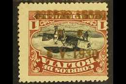1930 1b Red-brown Air With The Graf Zeppelin "CORREO AEREO / R. S. / 6-V- 1930" Overprint In Gold INVERTED Variety, Sana - Bolivien