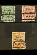 TRENTINO - ALTO ADIGE 1918 -19 Barred "T" Overprint Without Numerals, 5c On 5c, 10c On 10 And 20c On 20c, Sass BZ3/20-22 - Non Classificati