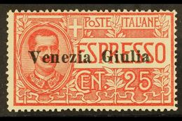 VENEZIA GIULIA 1919 25c Red Express, Sass 1, Very Fine Never Hinged Mint. Signed Sorani. Cat €450 (£340) For More Images - Zonder Classificatie