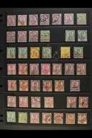JOHORE 1891-1960 ALL DIFFERENT FINE USED Collection On Stockleaves. Note 1891-94 Complete Set, 1894 Surcharges Set, 1896 - Andere & Zonder Classificatie