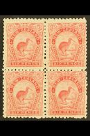 1899-1903 6d Pale Rose Kiwi, SG 265, Mint BLOCK OF FOUR, Gum Disturbed On Right Vertical Pair, The Lower Left Stamp Neve - Andere & Zonder Classificatie