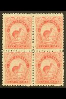 1899-1903 6d Pale Rose Kiwi, SG 265, Mint BLOCK OF FOUR, Gum Disturbed On Right Vertical Pair, The Lower Left Stamp Neve - Other & Unclassified