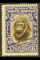 1931 6c Orang-Utan BNBC Anniversary SAMPLE COLOUR TRIAL In Brown And Violet (issued In Black And Orange), Unused With Sm - Noord Borneo (...-1963)