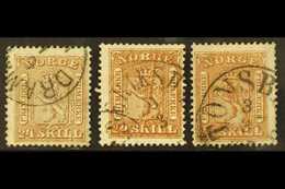 1863-7 24sk Greyish Brown, Dark Brown & Reddish Brown Shades, Facit 10a, B, C, Mi 10, Very Fine Used (3 Stamps). For Mor - Other & Unclassified