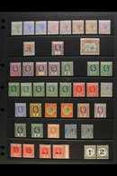 1891-1952 MINT SELECTION Presented On Stock Pages. Includes QV Ranges To 1s, KEVII Ranges To 1s, KGV To 2s6d Both Waterm - Ste Lucie (...-1978)