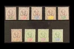 1888-97 Sir Charles Brooke Definitive Set Complete To 12c, SG 8/16, Mint, Mostly Fine To Very Fine With Lovely Fresh Col - Sarawak (...-1963)