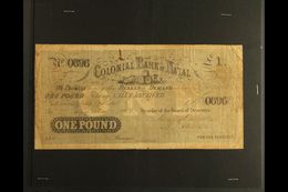 NATAL 1862 £1 COLONIAL BANK OF NATAL Banknote, Intact, Soiled, Folded & Pressed!. Scarce For More Images, Please Visit H - Unclassified