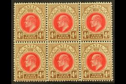 NATAL 1902-3 4d Carmine & Cinnamon, Wmk Crown CA , BLOCK OF SIX, SG 133, Very Slightly Toned Gum, Otherwise Never Hinged - Unclassified