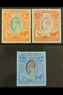 ORANGE RIVER COLONY REVENUES 1903 KEVII 10s Orange & Green, £2 Brown & Violet, Wmk Crown CC, 1905 3s Purple & Blue On Bl - Zonder Classificatie