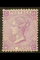 1867-80 6d Mauve Plate 8, Wmk Spray, SG 109, Unused Without Gum, Short Perfs At Top Left And Bottom Right, Spectacular A - Other & Unclassified