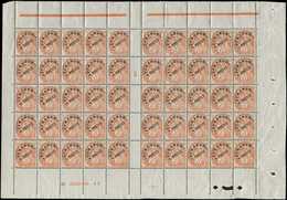 ** PREOBLITERES 39  Blanc, 3c. Orange, PANNEAU De 50, Bas De Feuille N°B 30010-17, Mill.3, TB - 1893-1947